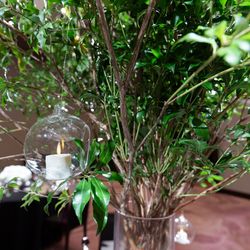 東京會舘の写真24枚目