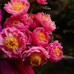 ザ・カワブンナゴヤの写真14枚目