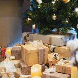 テラスグランツの写真30枚目