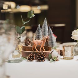 テラスグランツの写真7枚目