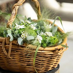 リストランテASOの写真2枚目