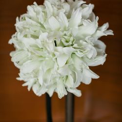 グランド ハイアット 東京の写真32枚目