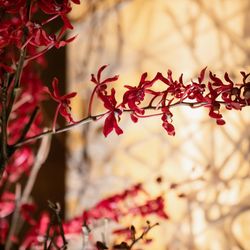 グランド ハイアット 東京の写真3枚目