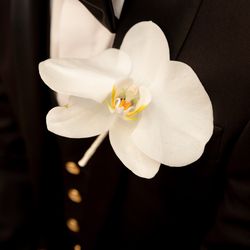 アートグレース ウエディング スクエアの写真5枚目