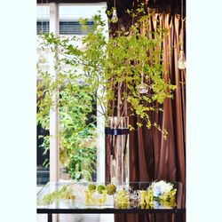 アルモニーソルーナ 表参道の写真30枚目