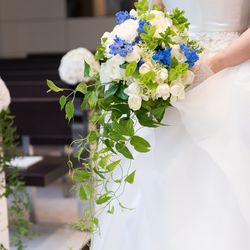 アルモニーソルーナ 表参道の写真24枚目