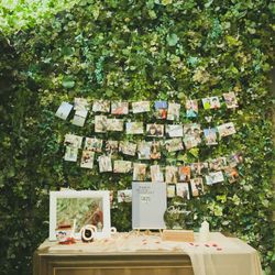 宮の森フランセス教会の写真4枚目