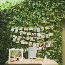 宮の森フランセス教会の写真21枚目