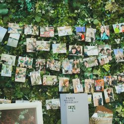 宮の森フランセス教会の写真33枚目