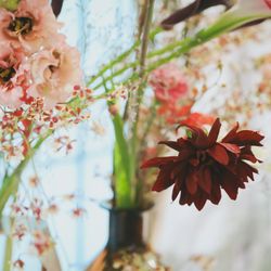 宮の森フランセス教会の写真28枚目