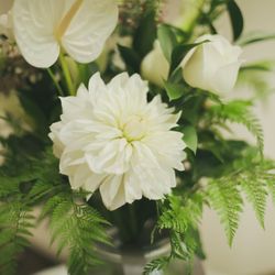 宮の森フランセス教会の写真4枚目