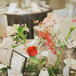 宮の森フランセス教会の写真28枚目