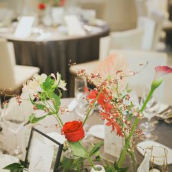 宮の森フランセス教会の写真16枚目