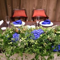 アルモニーソルーナ 表参道の写真17枚目