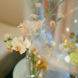 ザ・ガーデンオリエンタル大阪の写真14枚目