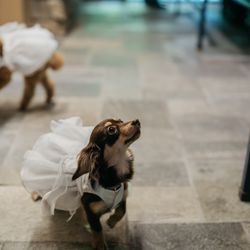 ザ・ガーデンオリエンタル大阪の写真5枚目