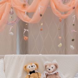 ララシャンスガーデン 東京ベイの写真18枚目