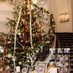 エスプリ・ド・ナチュールの写真10枚目