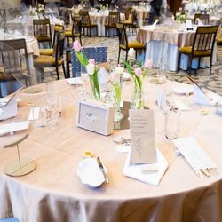 横浜迎賓館の写真24枚目