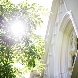 アートグレース ウエディング スクエアの写真16枚目