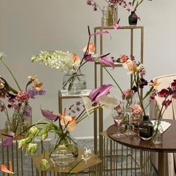 TIAD, オートグラフ コレクションの写真26枚目