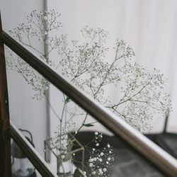 MAYAの写真35枚目