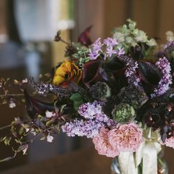 MAYAの写真10枚目