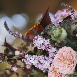 MAYAの写真32枚目