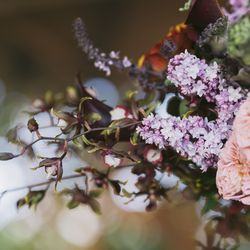 MAYAの写真13枚目