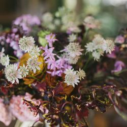 MAYAの写真21枚目