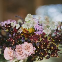 MAYAの写真16枚目