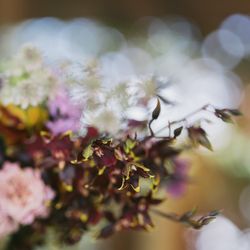 MAYAの写真18枚目