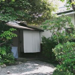 MAYAの写真22枚目