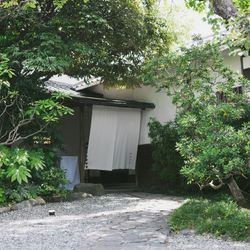 MAYAの写真35枚目