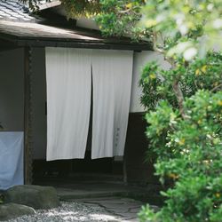 MAYAの写真7枚目