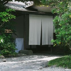 MAYAの写真15枚目