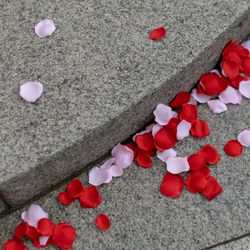 グランド ハイアット 東京の写真27枚目