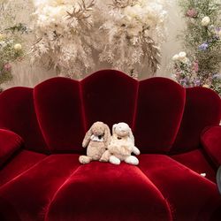 青山セントグレース大聖堂の写真26枚目