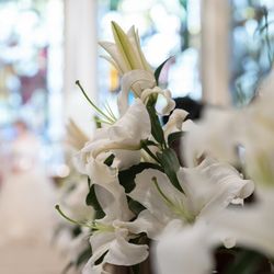 青山セントグレース大聖堂の写真21枚目