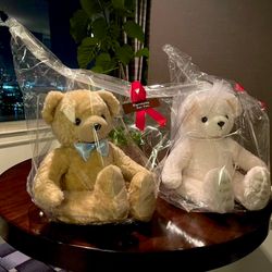 グランドニッコー東京 台場の写真21枚目