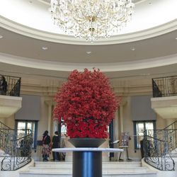 グランドニッコー東京 台場の写真18枚目