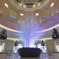 グランドニッコー東京 台場の写真28枚目