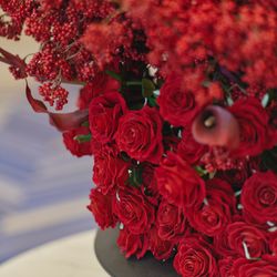 グランドニッコー東京 台場の写真1枚目