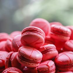 ザ ナンザンハウスの写真20枚目