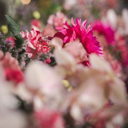 ウェスティンホテル東京の写真24枚目