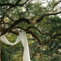 古我邸の写真7枚目