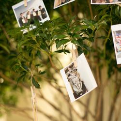 ソンブルイユ TOKYOの写真30枚目