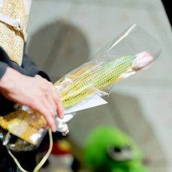 クラシカ表参道の写真29枚目