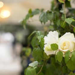 ソンブルイユ TOKYOの写真15枚目