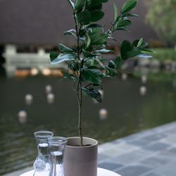 ザ・ガーデンオリエンタル大阪の写真8枚目